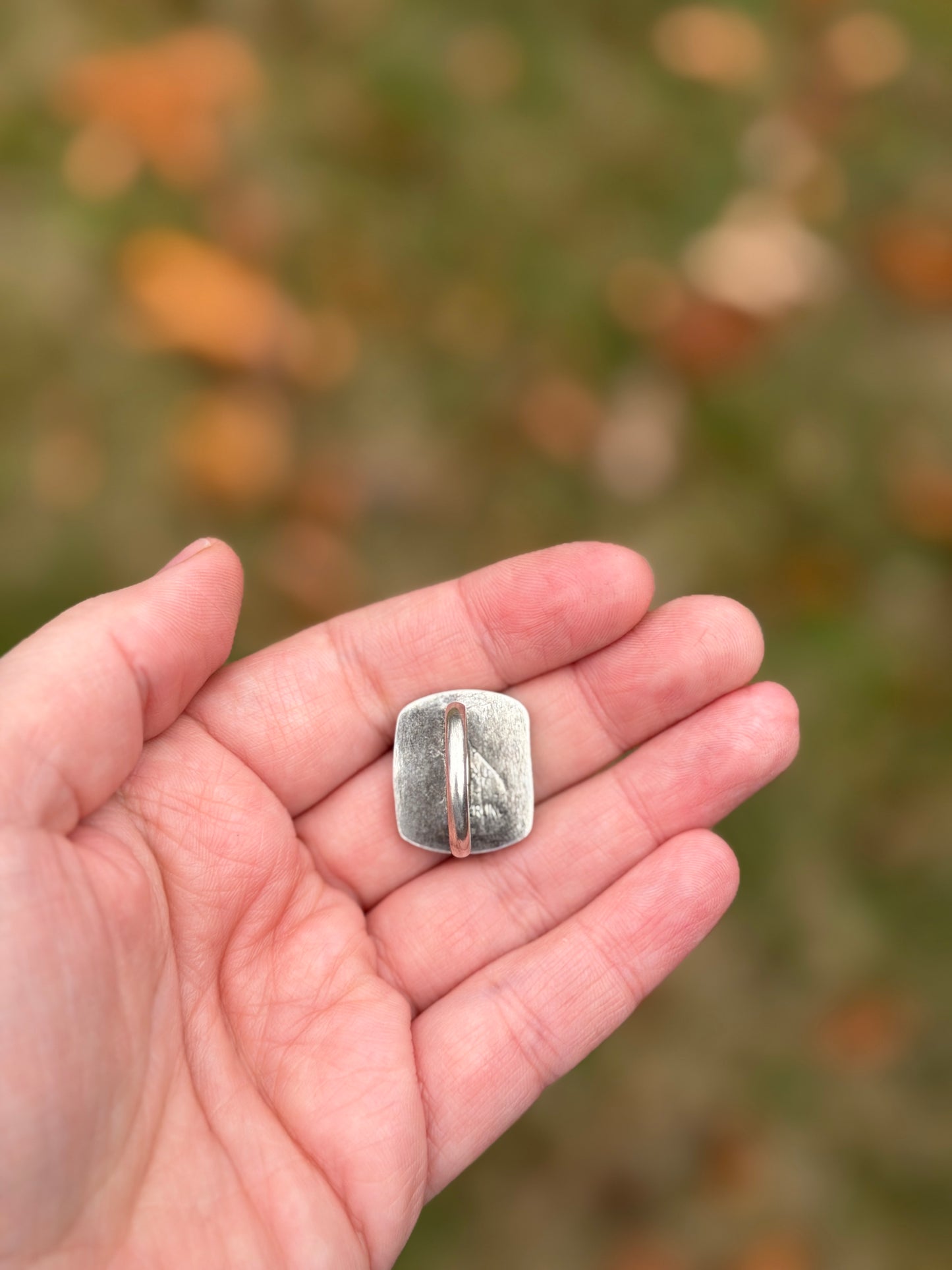 Treasure Mountain Size 5