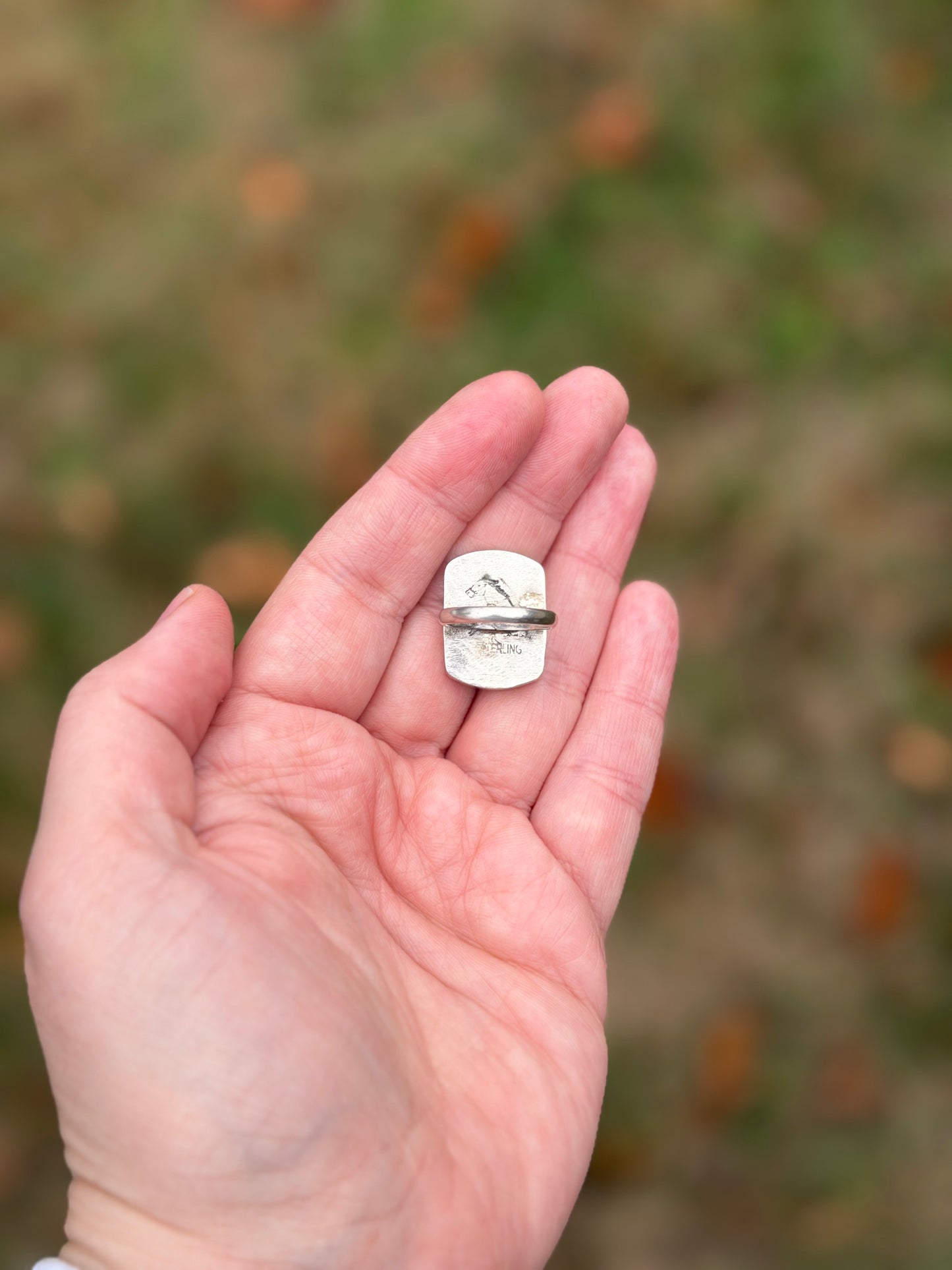 Treasure Mountain Turquoise Size 5