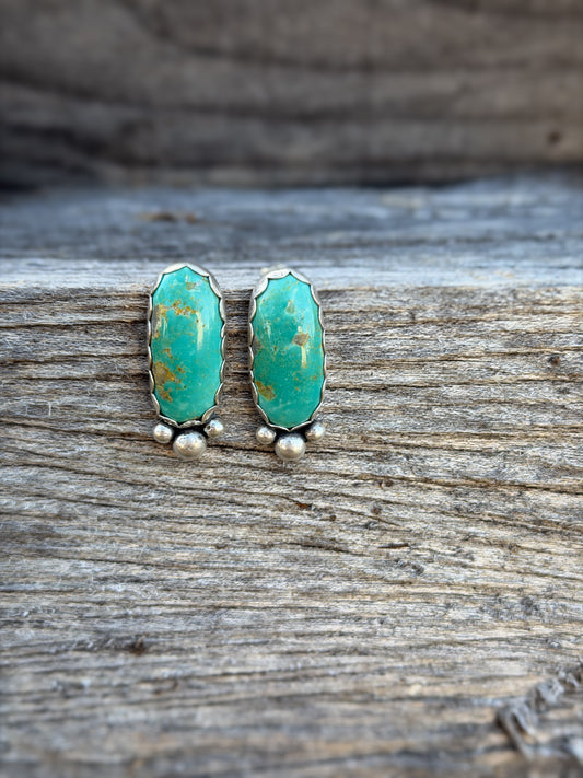 Elisa Long Stone Earrings