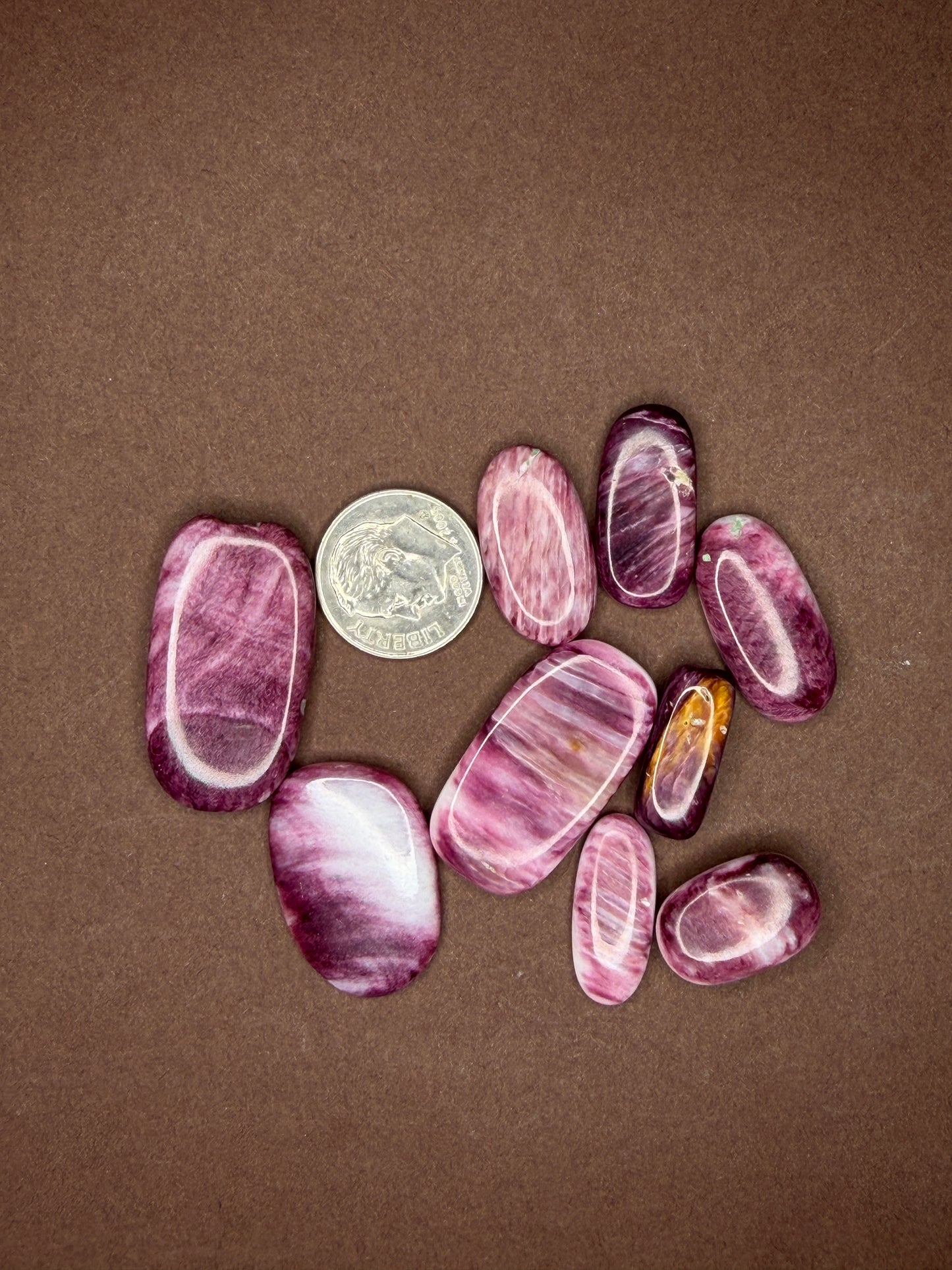 Spiny Oyster Cabochons (Different Varieties)