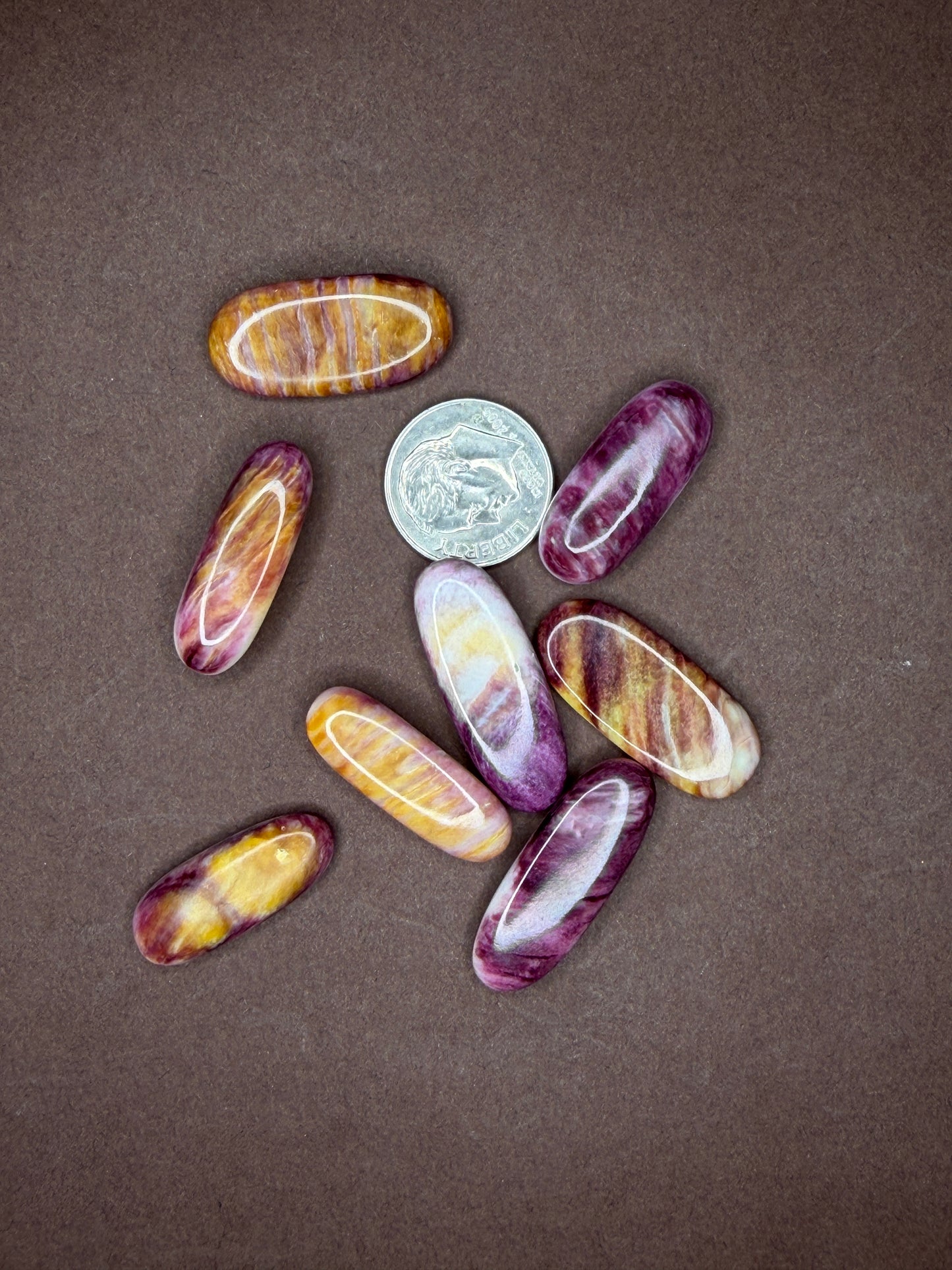 Spiny Oyster Cabochons (Different Varieties)