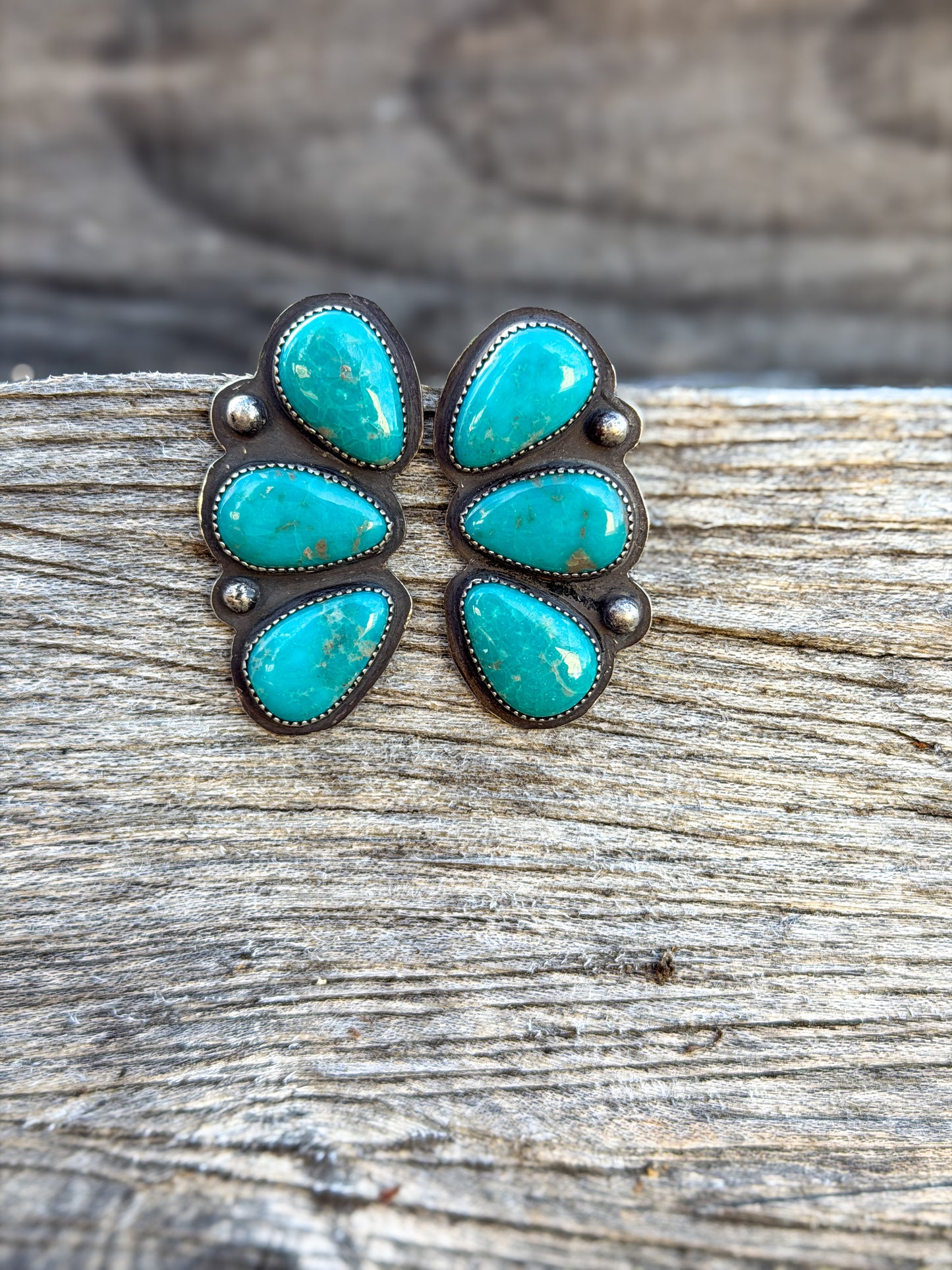 Campitos Statement Earrings