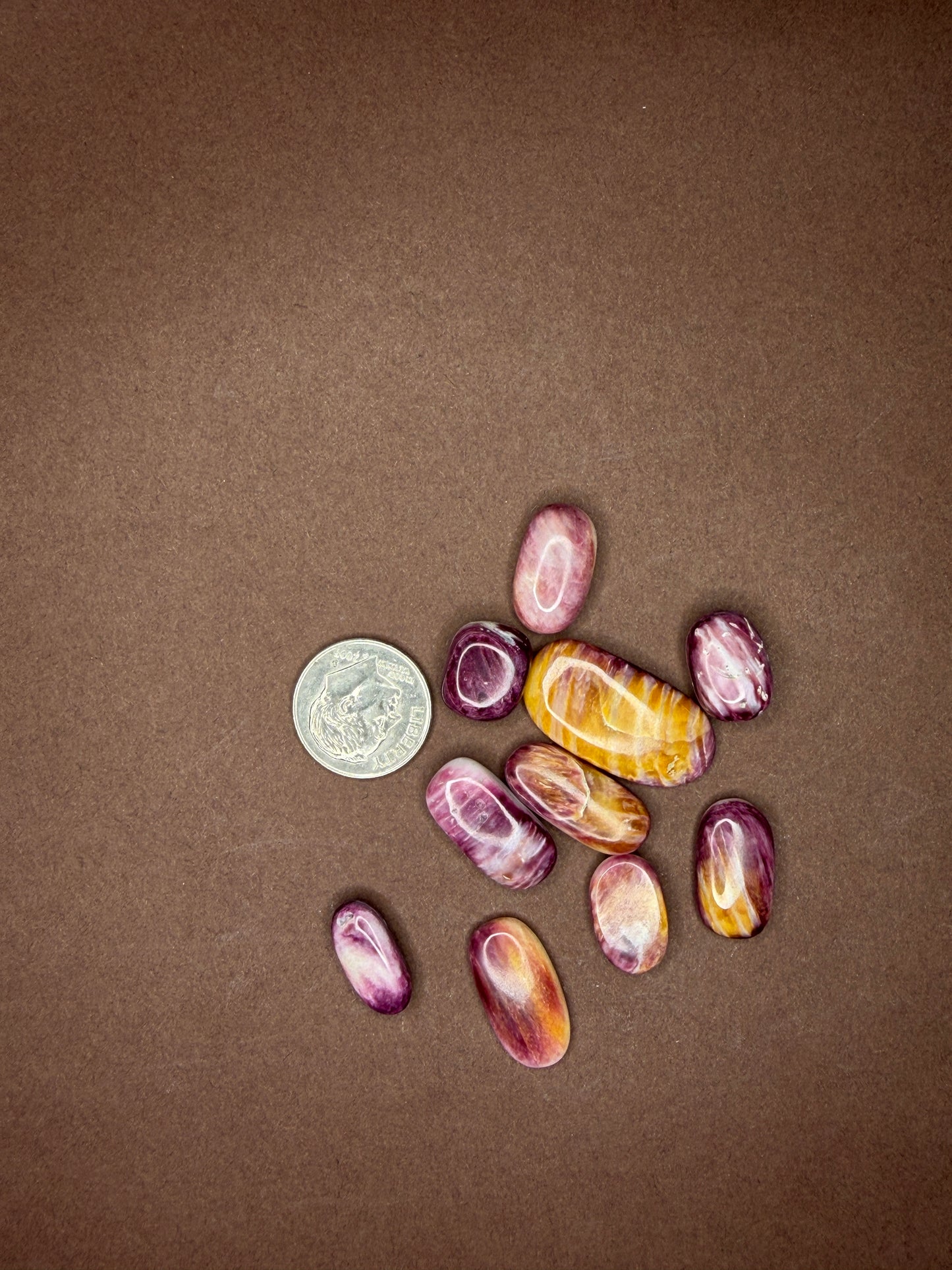 Spiny Oyster Cabochons (Different Varieties)
