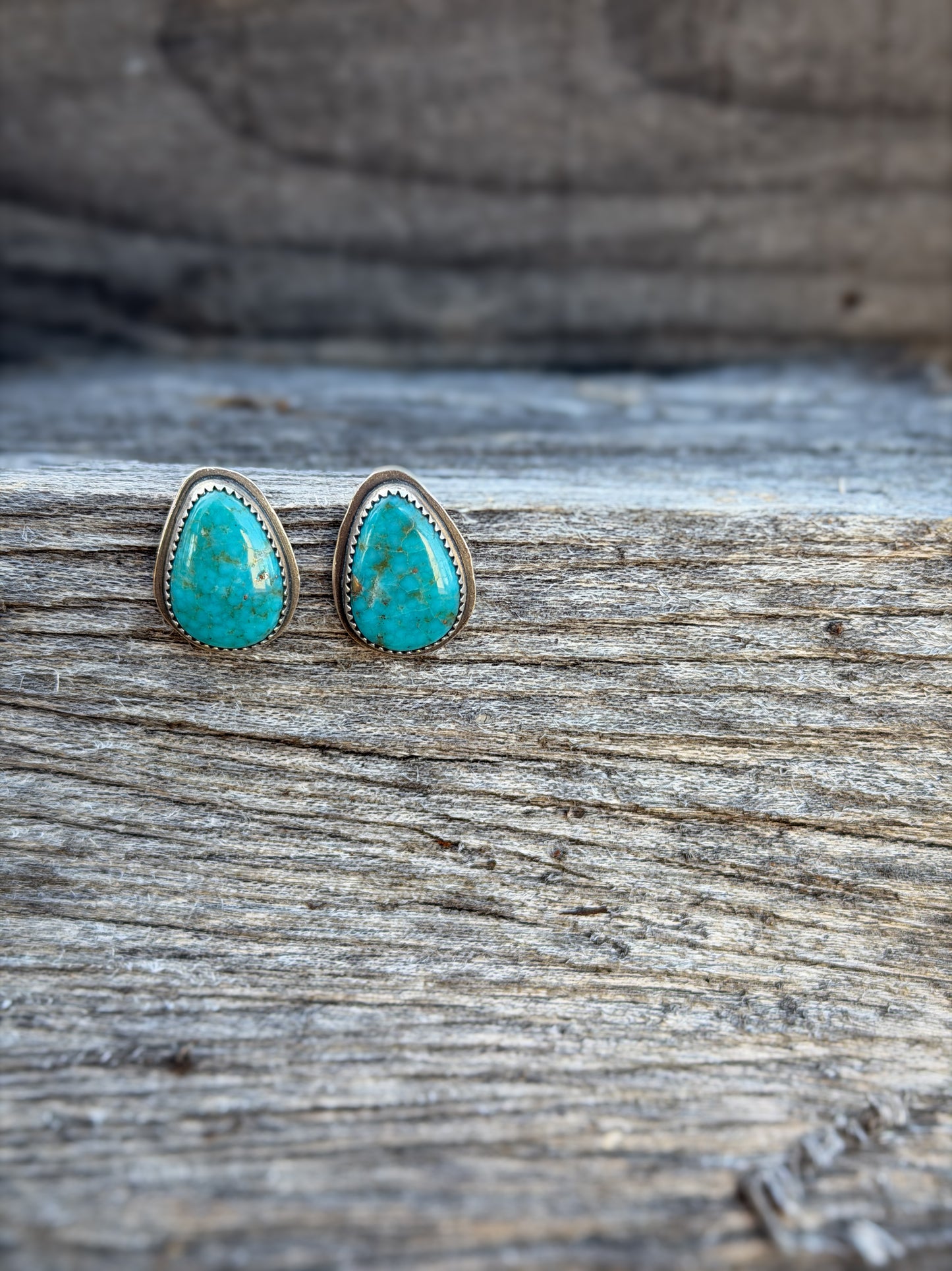 Campitos Stud Earrings