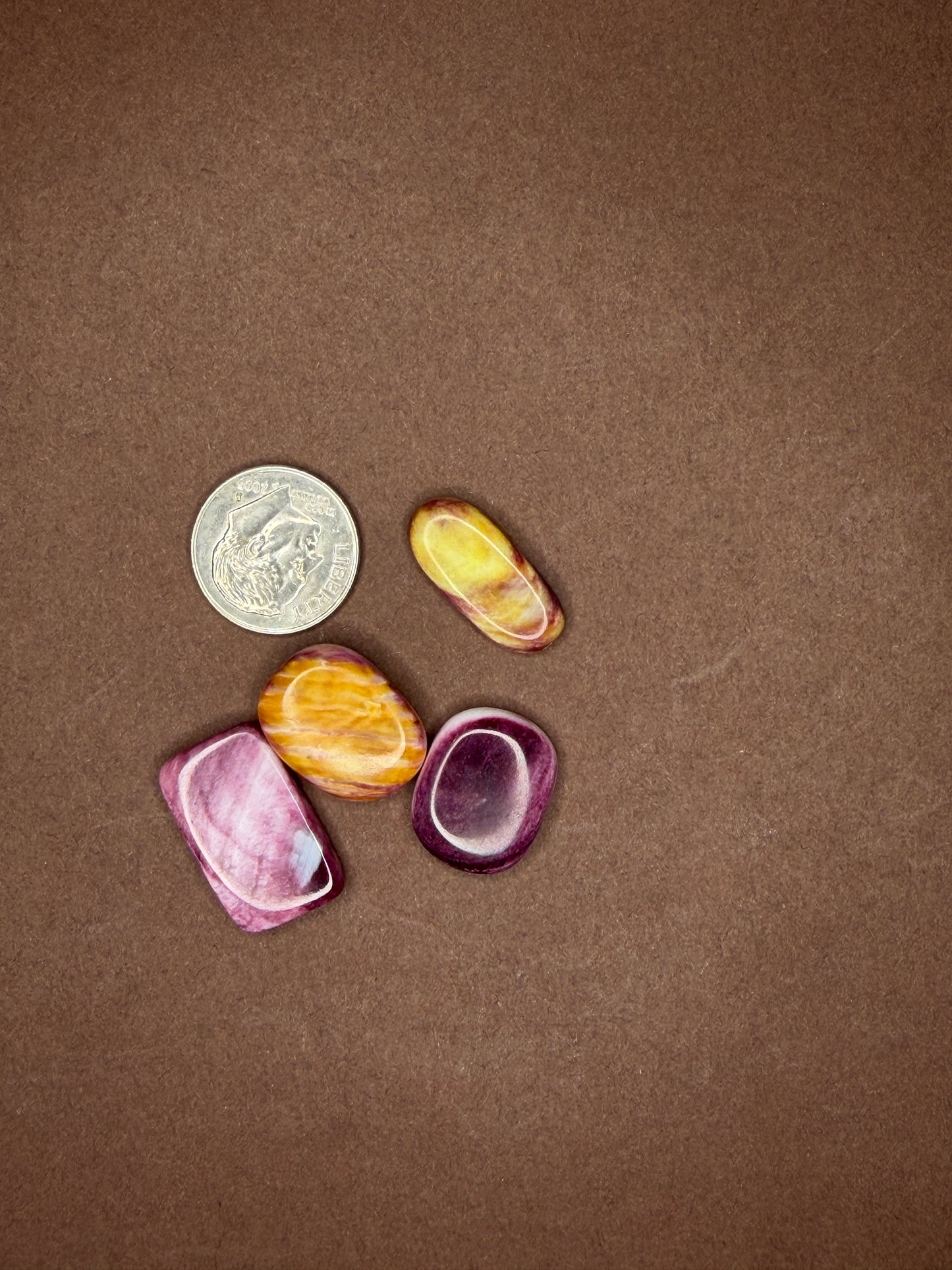 Spiny Oyster Cabochons (Different Varieties)