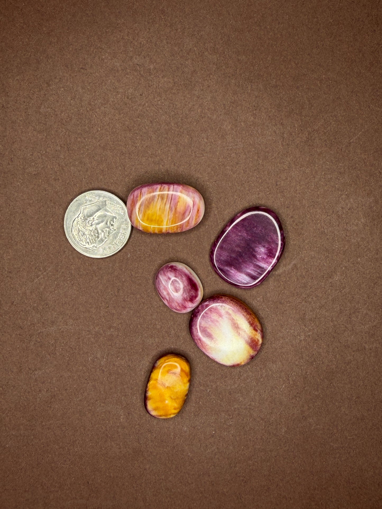 Spiny Oyster Cabochons (Different Varieties)