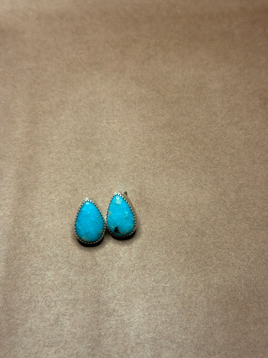 Campitos Studs