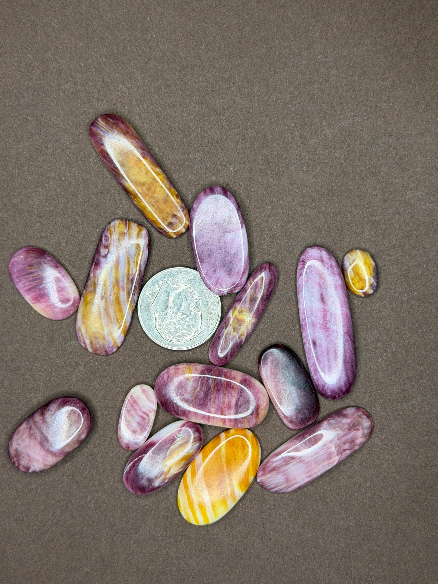 Spiny Oyster Cabochons (Different Varieties)