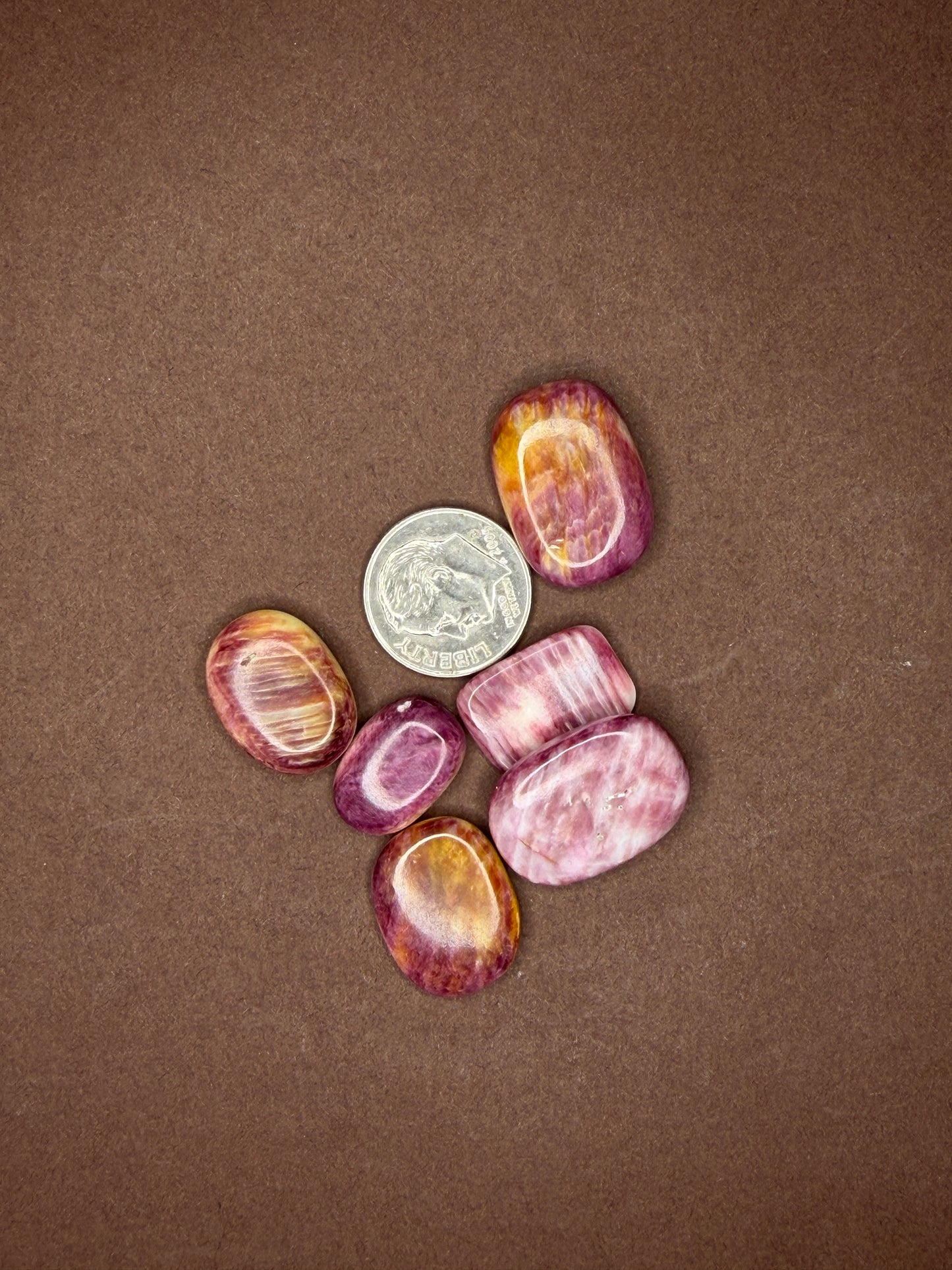 Spiny Oyster Cabochons (Different Varieties)