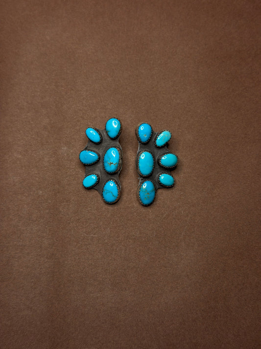 Sonora Half Clusters