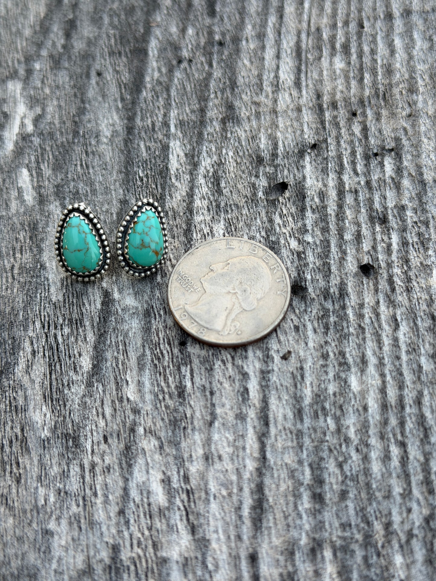 Sonoran Rope Border Earrings