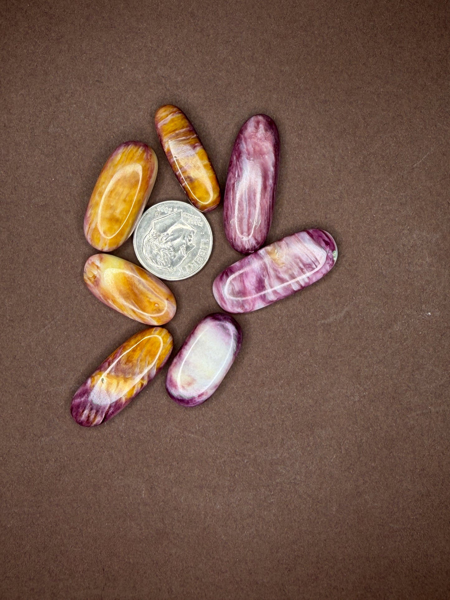 Spiny Oyster Cabochons (Different Varieties)