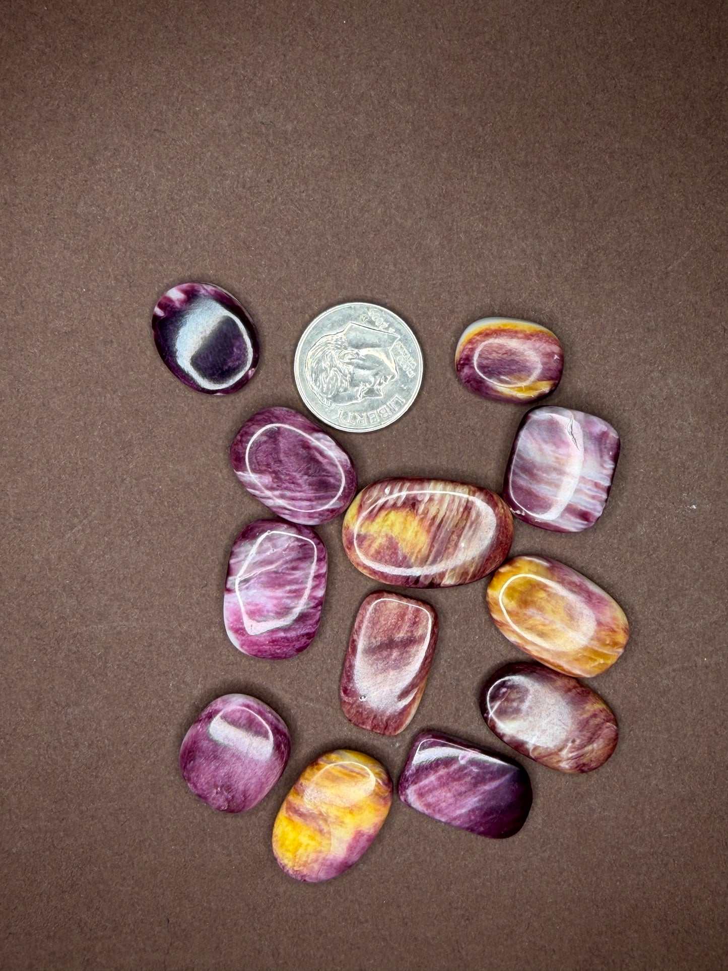 Spiny Oyster Cabochons (Different Varieties)