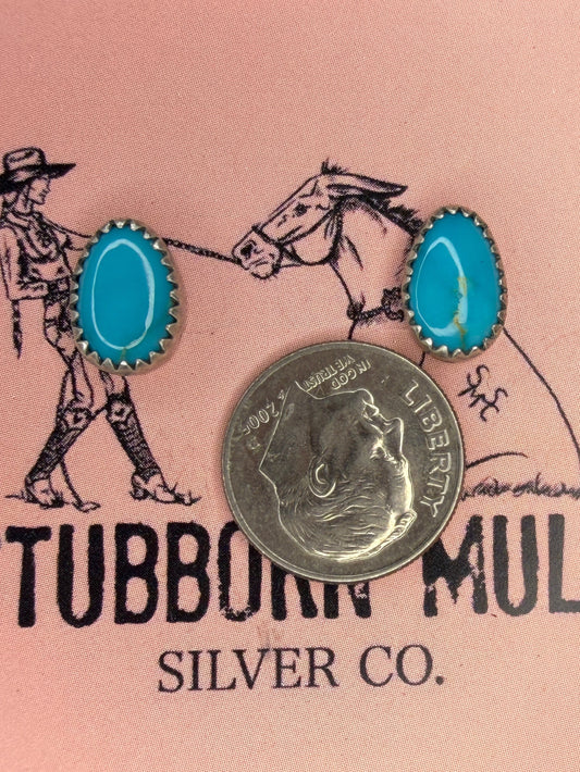Sonoran Dainty Studs