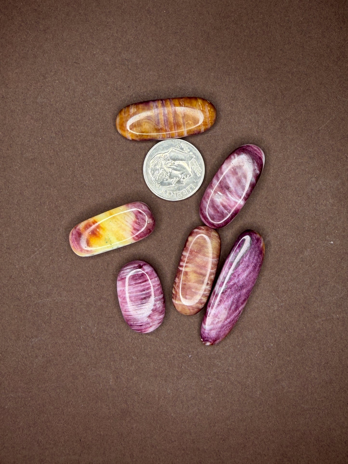 Spiny Oyster Cabochons (Different Varieties)
