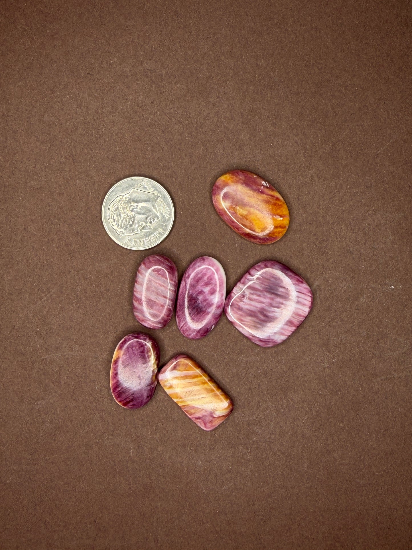 Spiny Oyster Cabochons (Different Varieties)