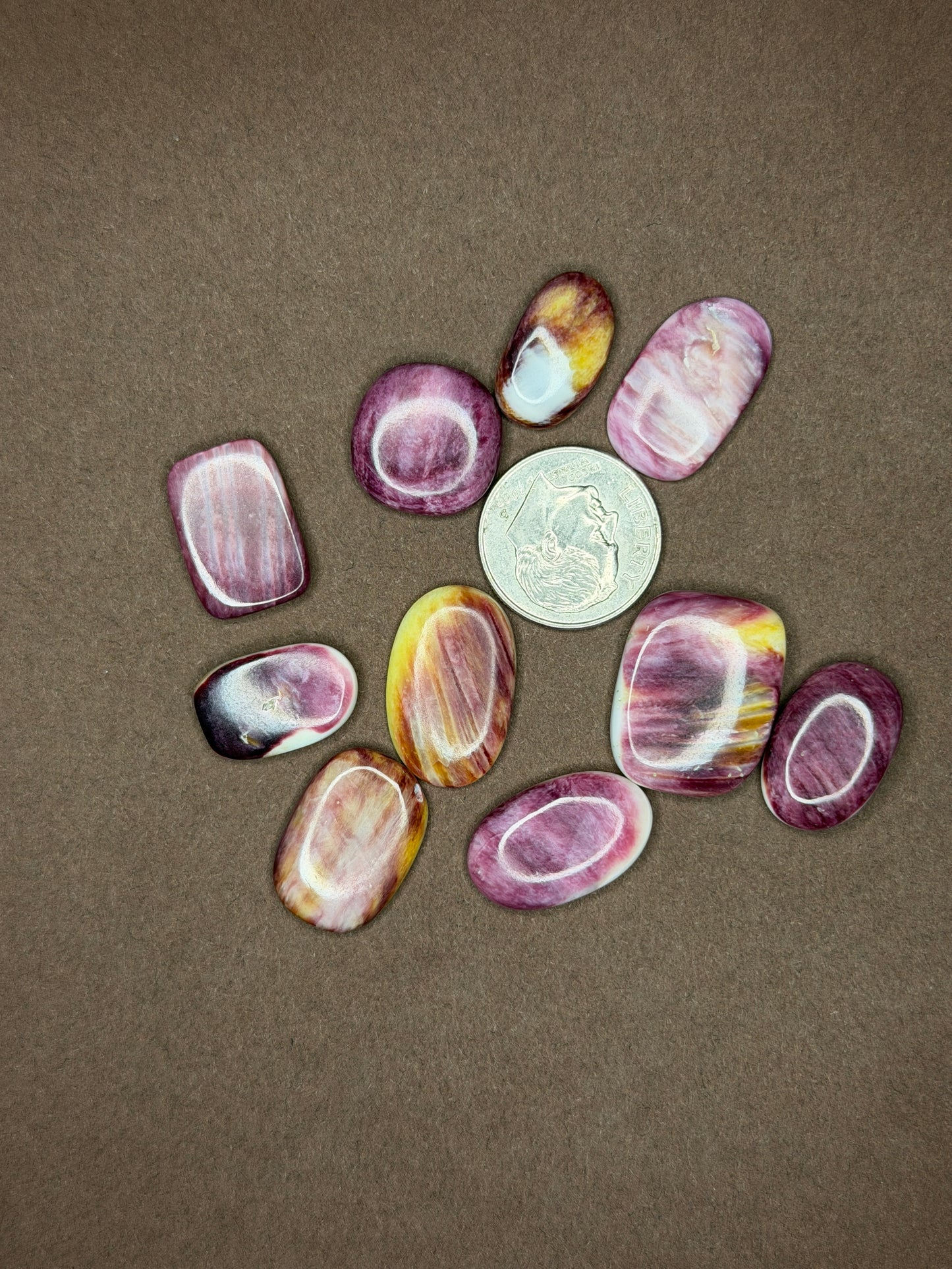 Spiny Oyster Cabochons (Different Varieties)