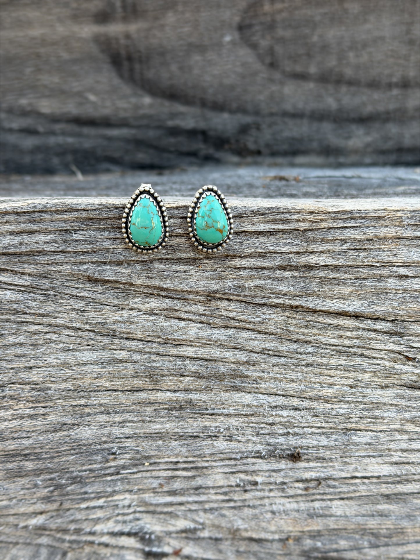 Sonoran Rope Border Earrings