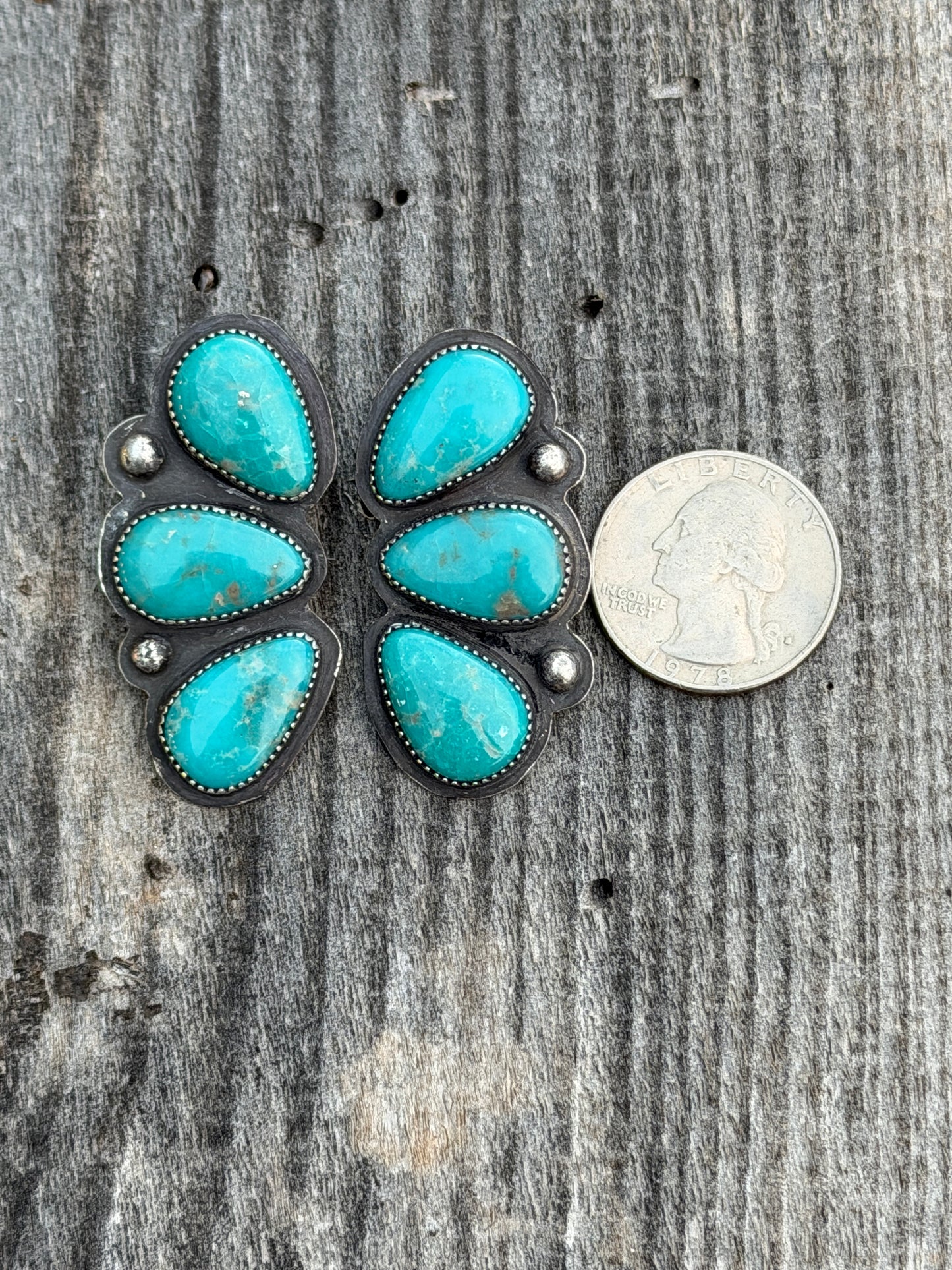 Campitos Statement Earrings