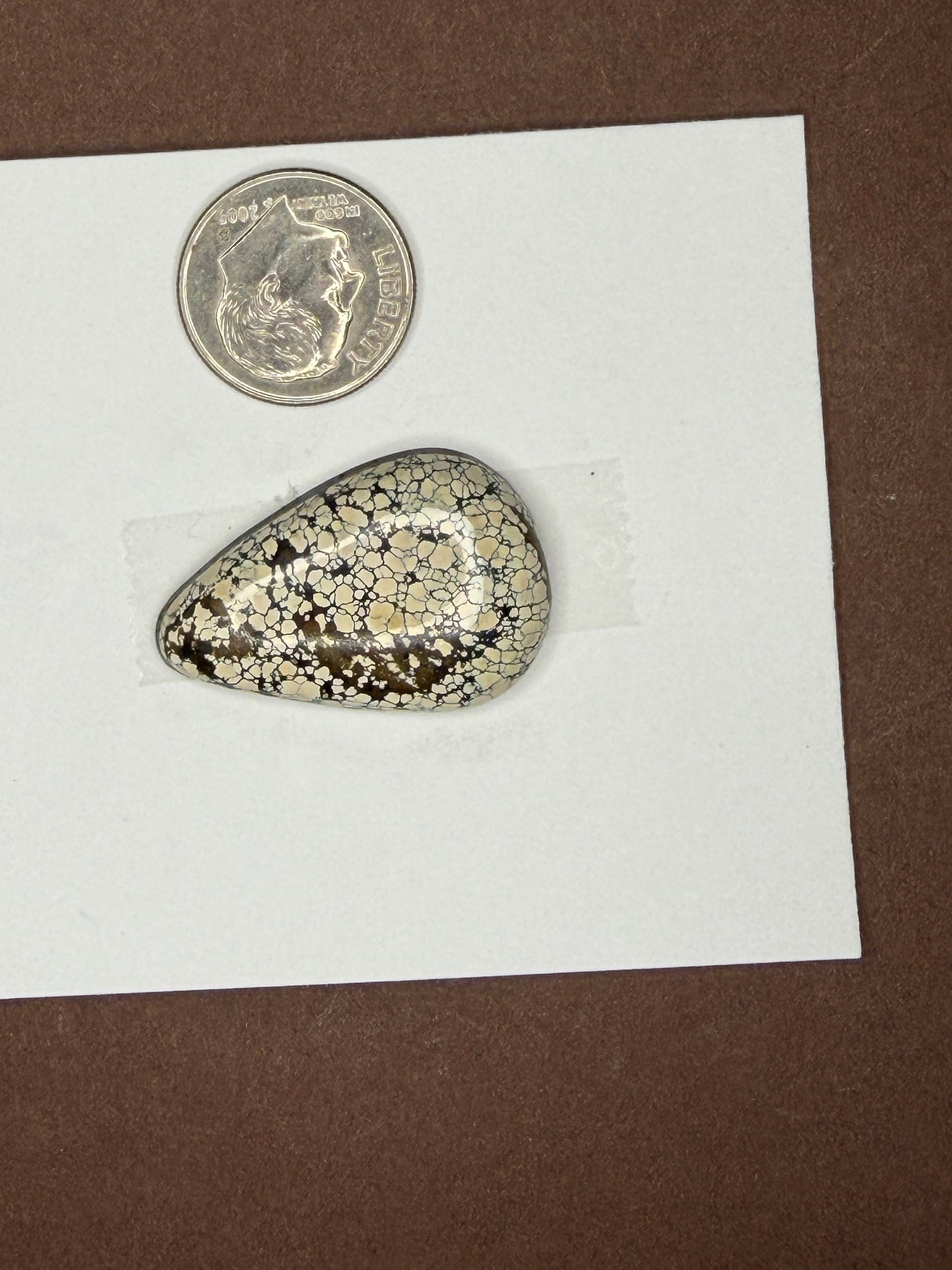 Ivory Creek Variscite Cabochon