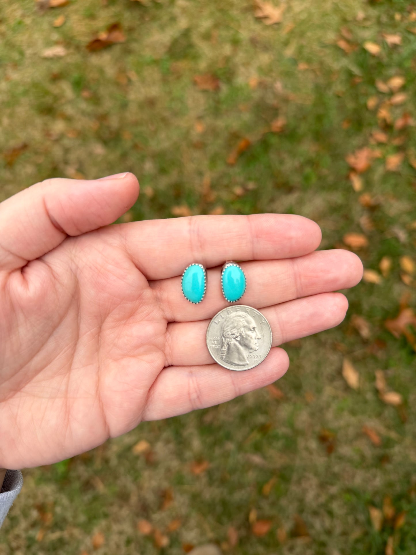Small Sonoran Gem earrings