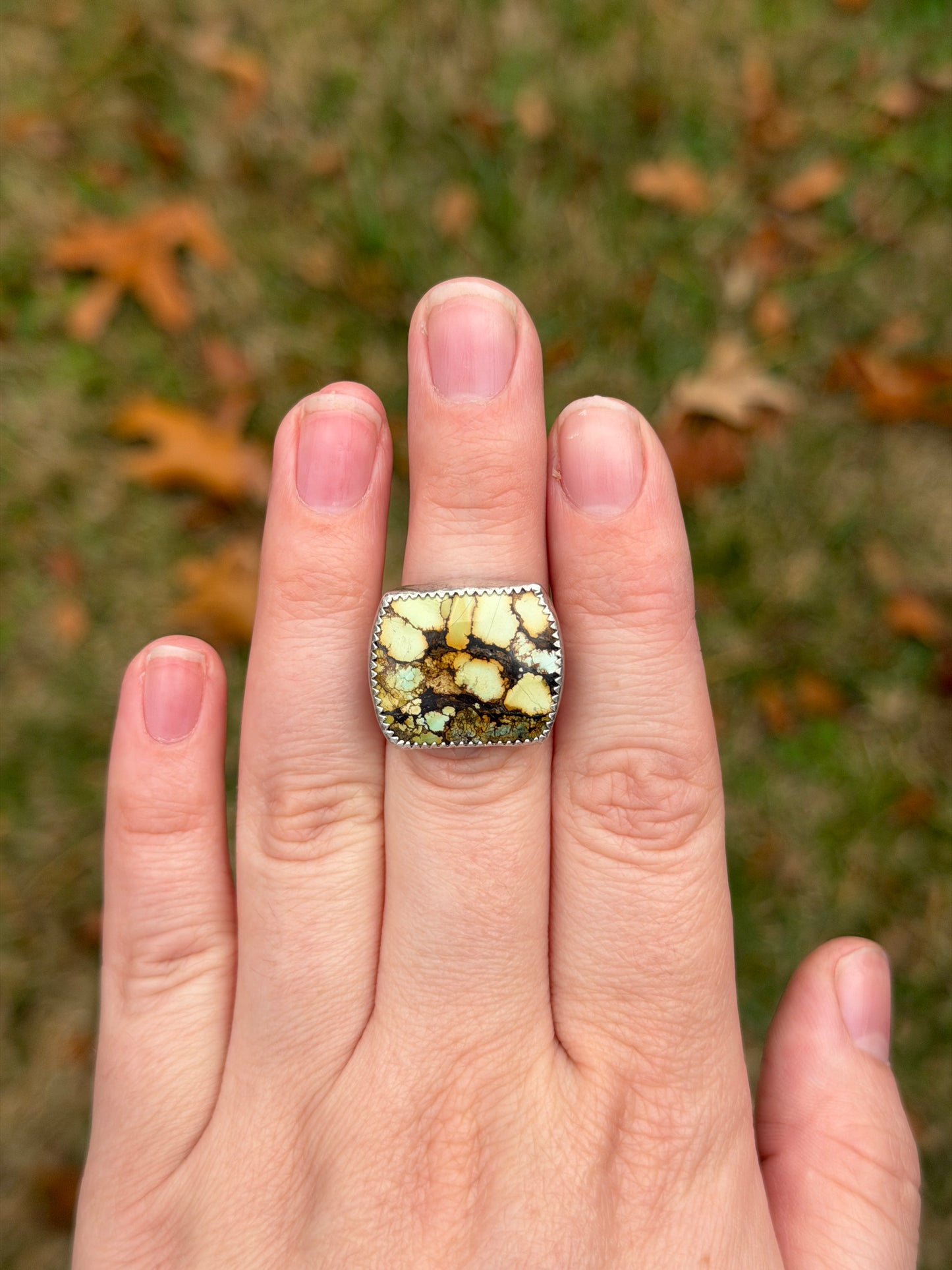 Treasure Mountain Size 5