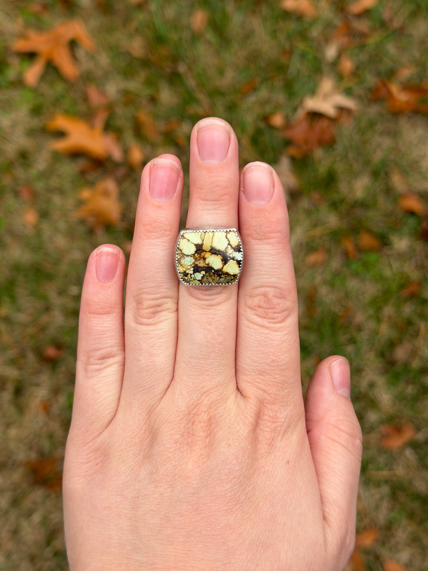 Treasure Mountain Size 5