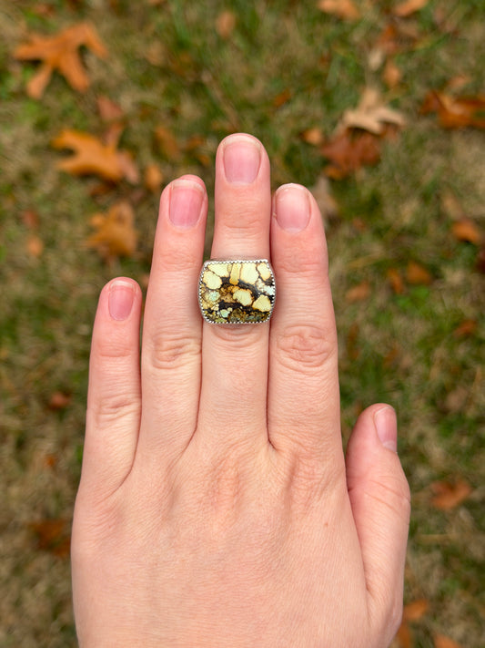 Treasure Mountain Size 5